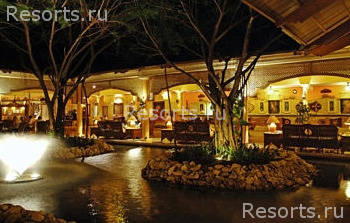 Iberostar Punta Cana 11